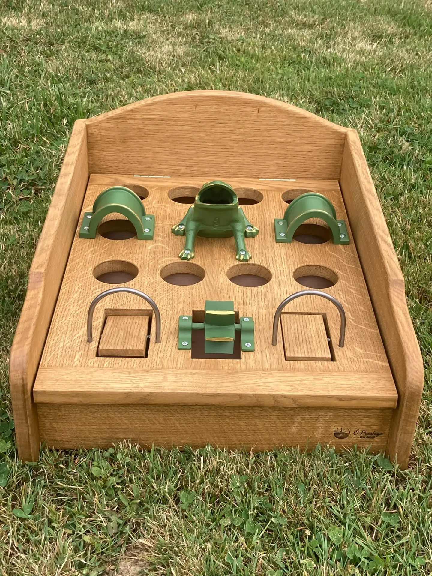 Jeu de la grenouille de table (Grenouille Verte, Aucune)